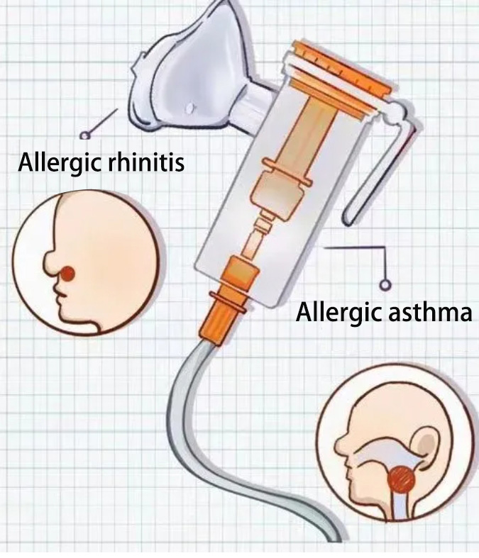 World Allergy Day – Small atomization, big details